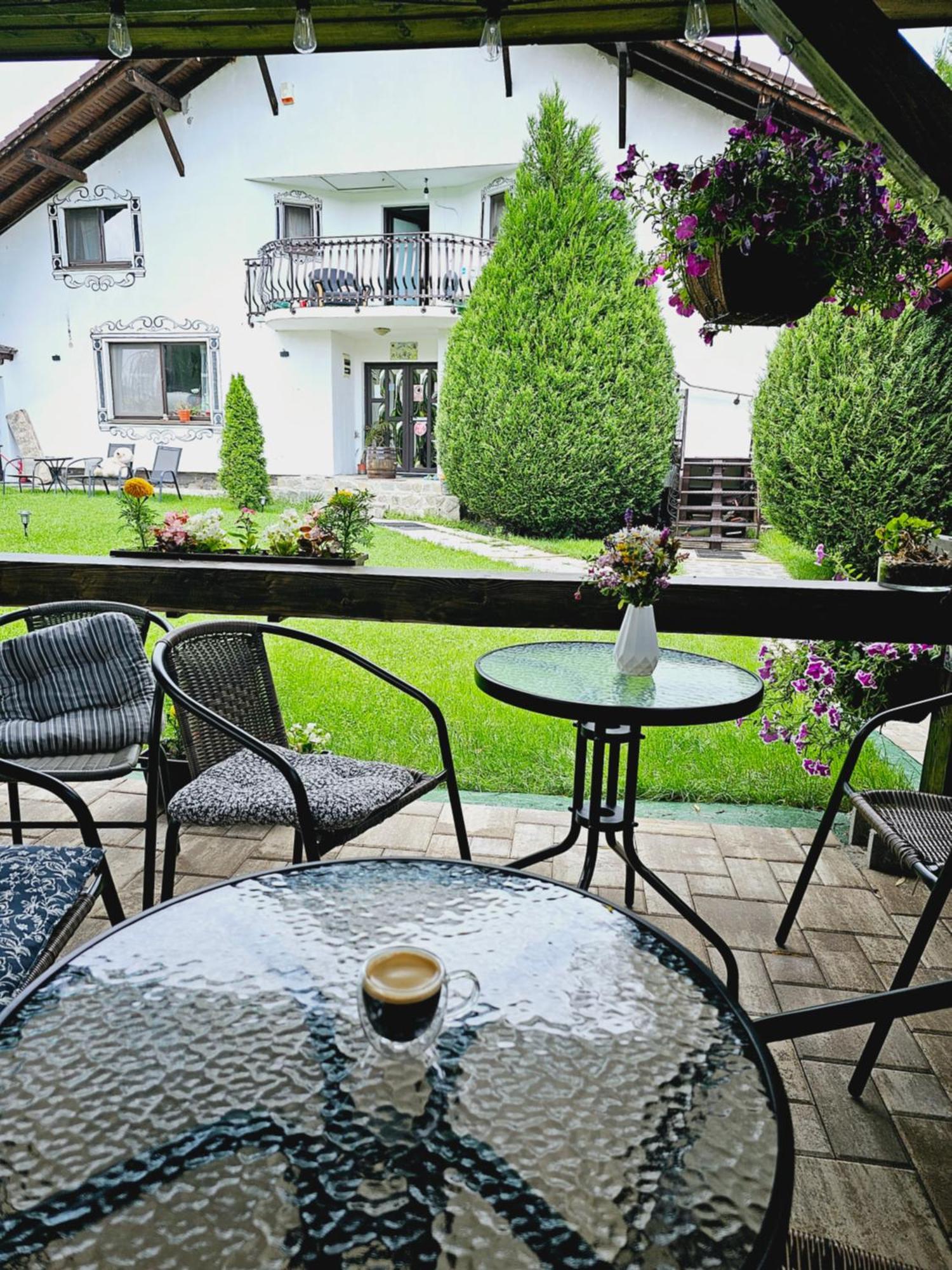 Vila Maria Sasciori Sebes Hotel Kültér fotó