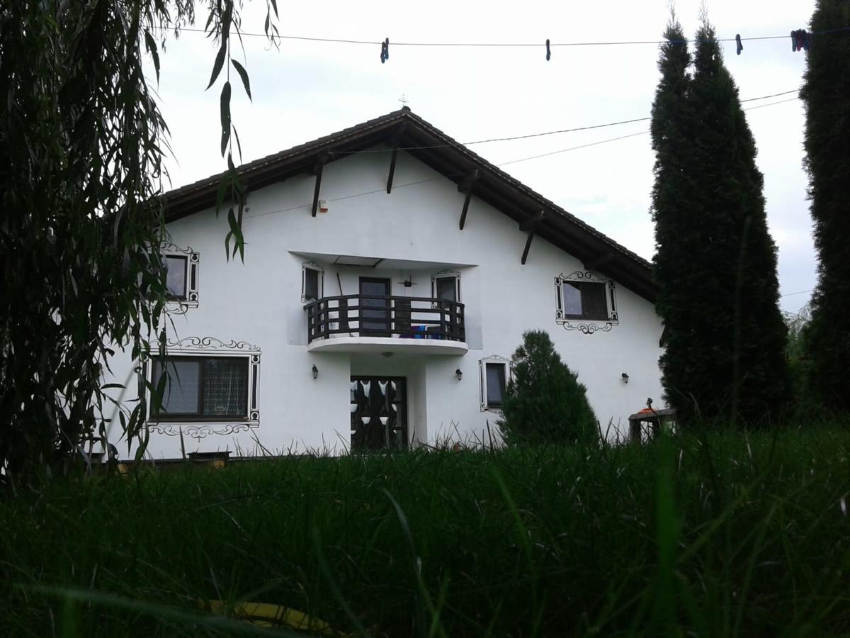 Vila Maria Sasciori Sebes Hotel Kültér fotó