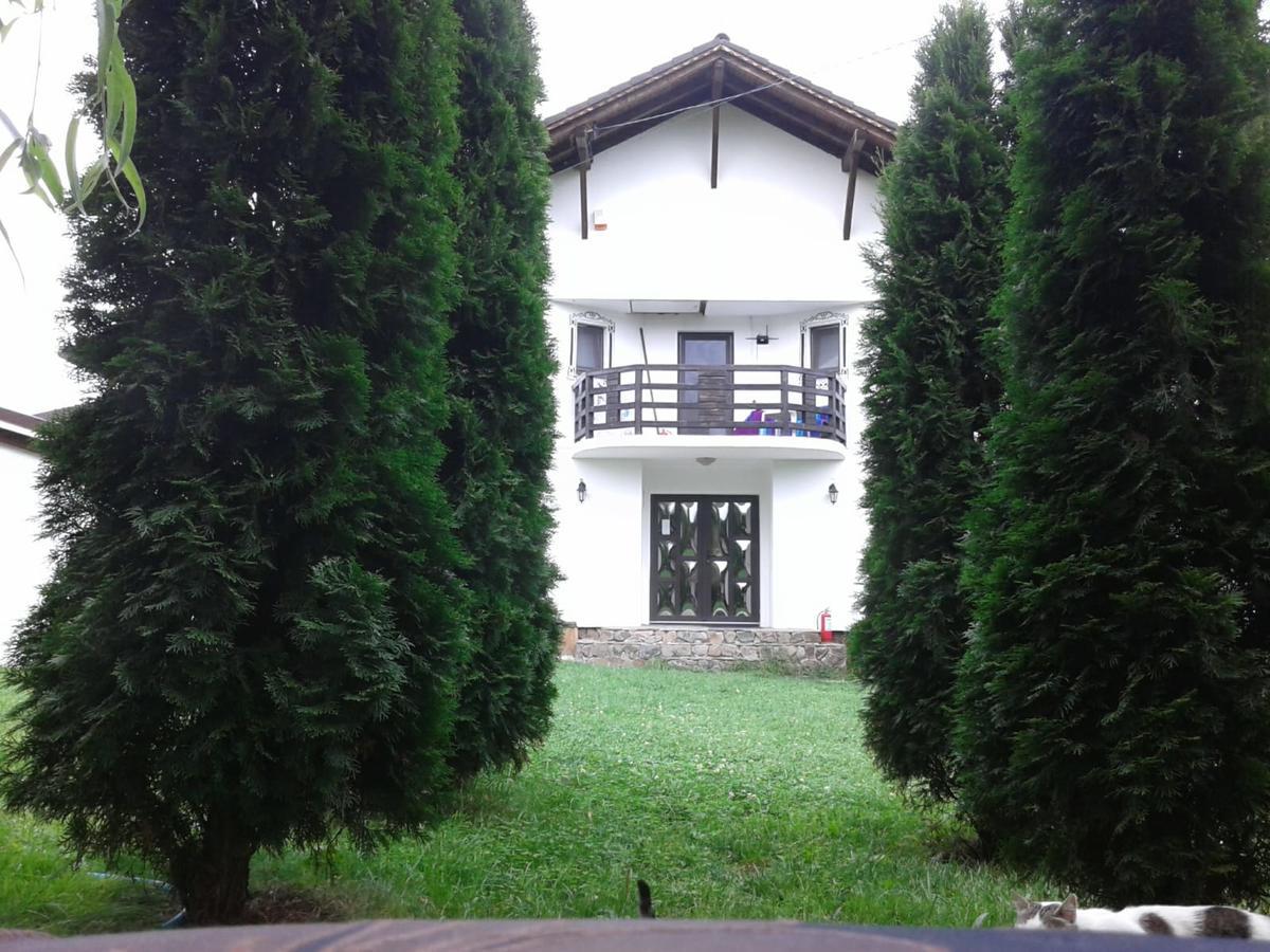 Vila Maria Sasciori Sebes Hotel Kültér fotó