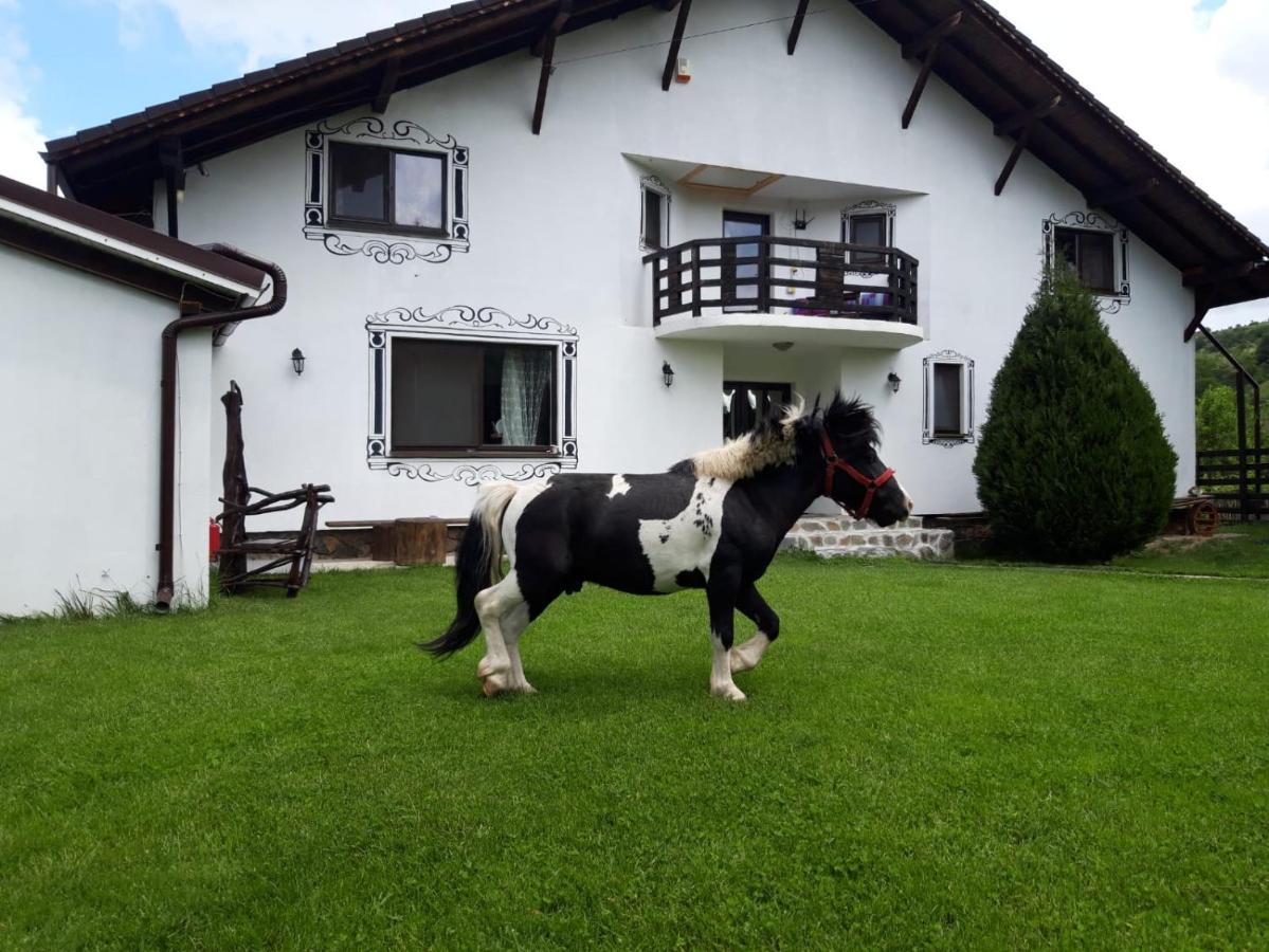 Vila Maria Sasciori Sebes Hotel Kültér fotó